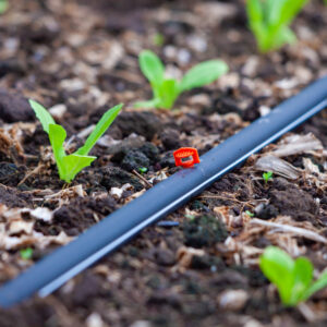 Gødning til gartneri